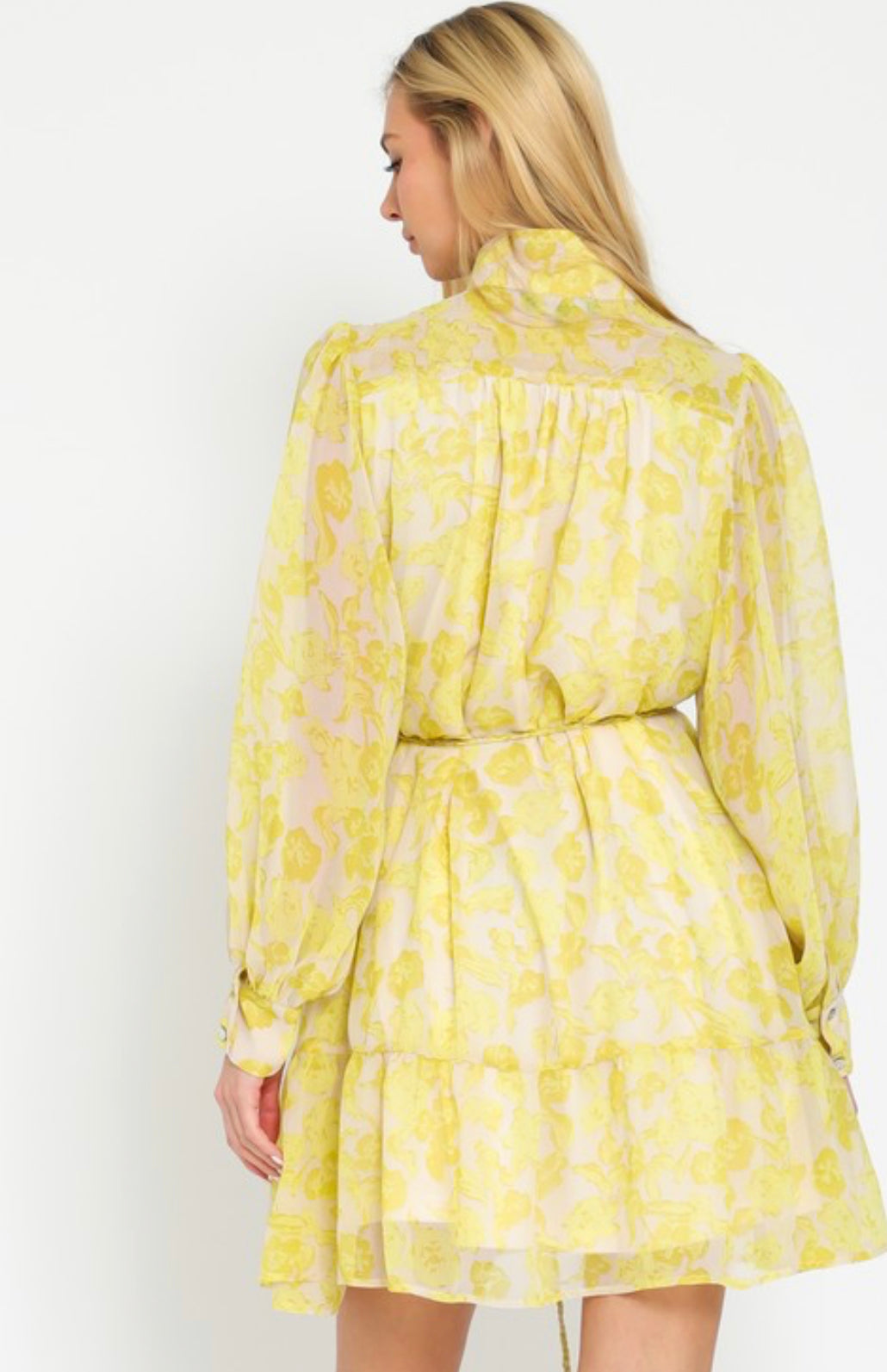 Lucia Chiffon Dress