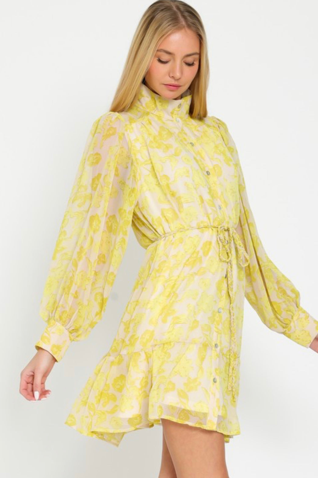 Lucia Chiffon Dress