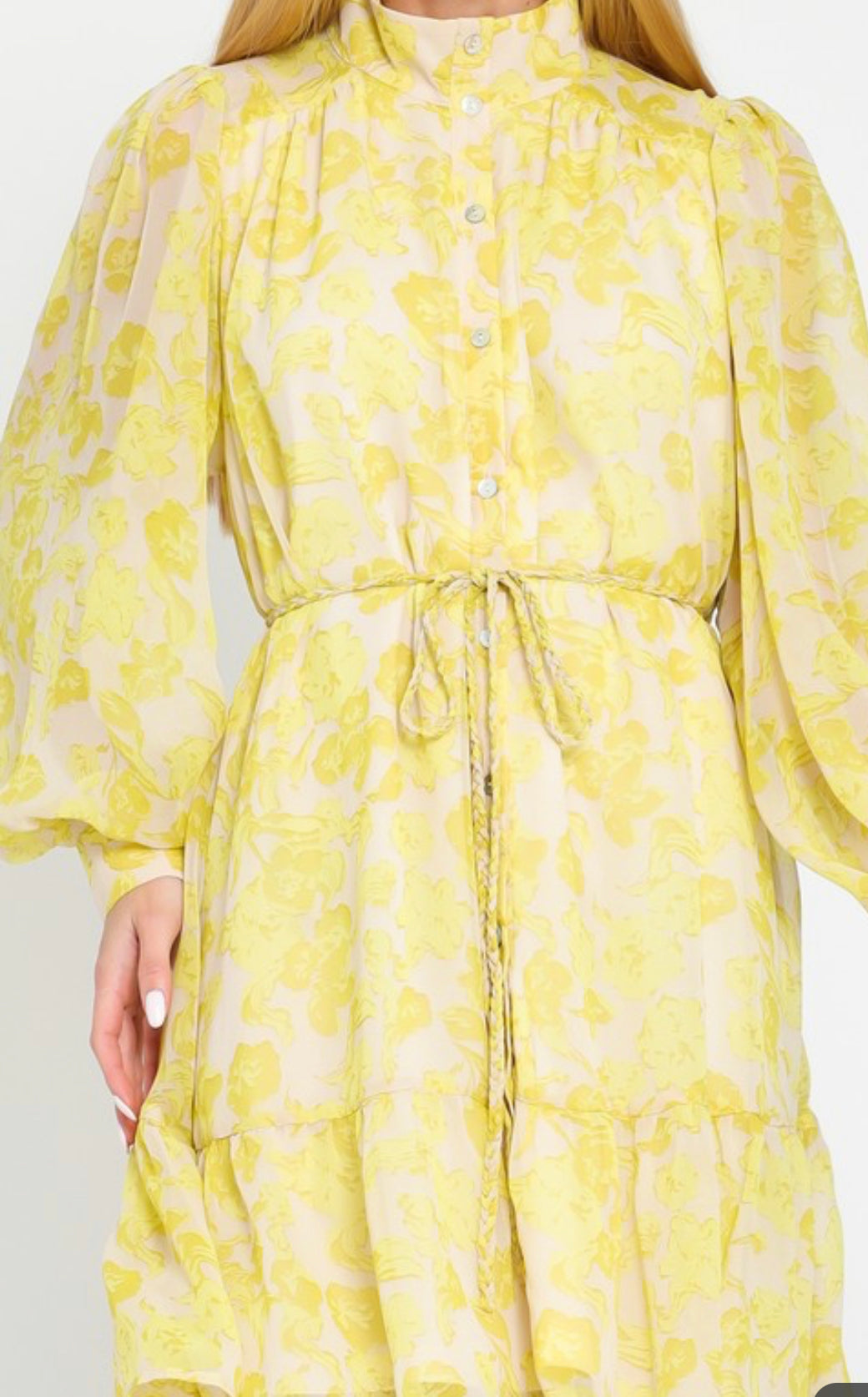 Lucia Chiffon Dress