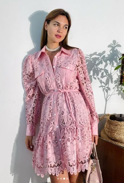 Rose Lace Dress