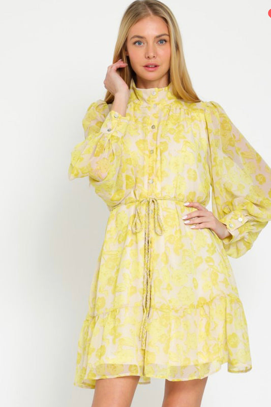 Lucia Chiffon Dress